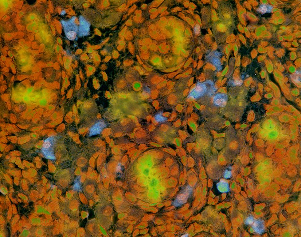 Eyes in the Dark - Daniel Asby